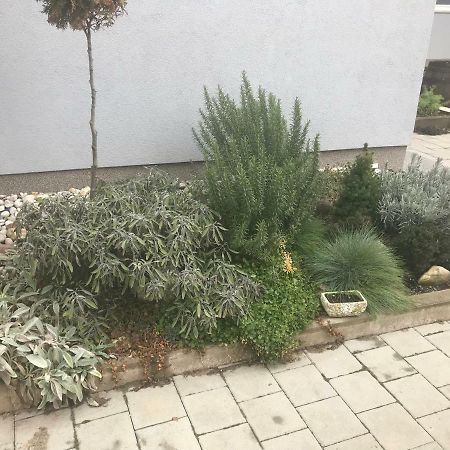 Studio Apartman Valentina Velika Mlaka Zewnętrze zdjęcie