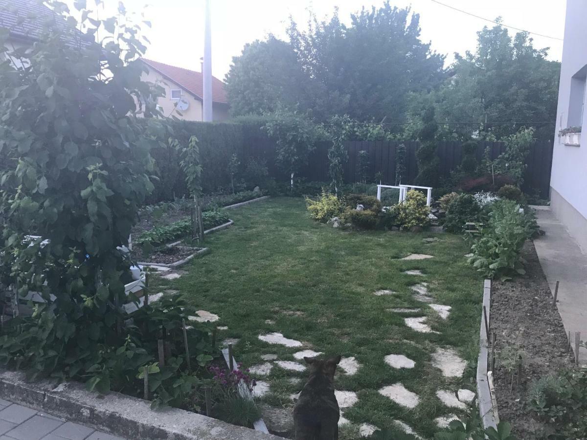 Studio Apartman Valentina Velika Mlaka Zewnętrze zdjęcie